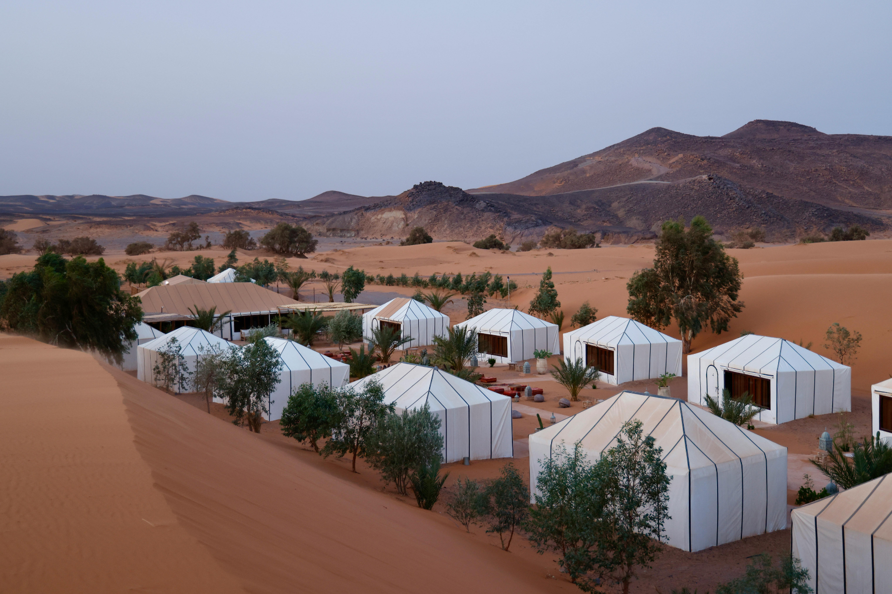 Morocco Desert Tours: Everything You Need to Know Before You Go