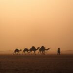 Wisdom Morocco Tours
